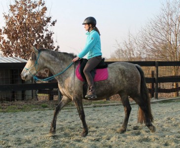 débourrage equi-claire Débourrage PRE