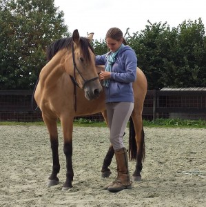 débourrage equi-claire Débourrage Equi-Claire