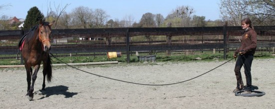 débourrage equi-claire Afortunada longe