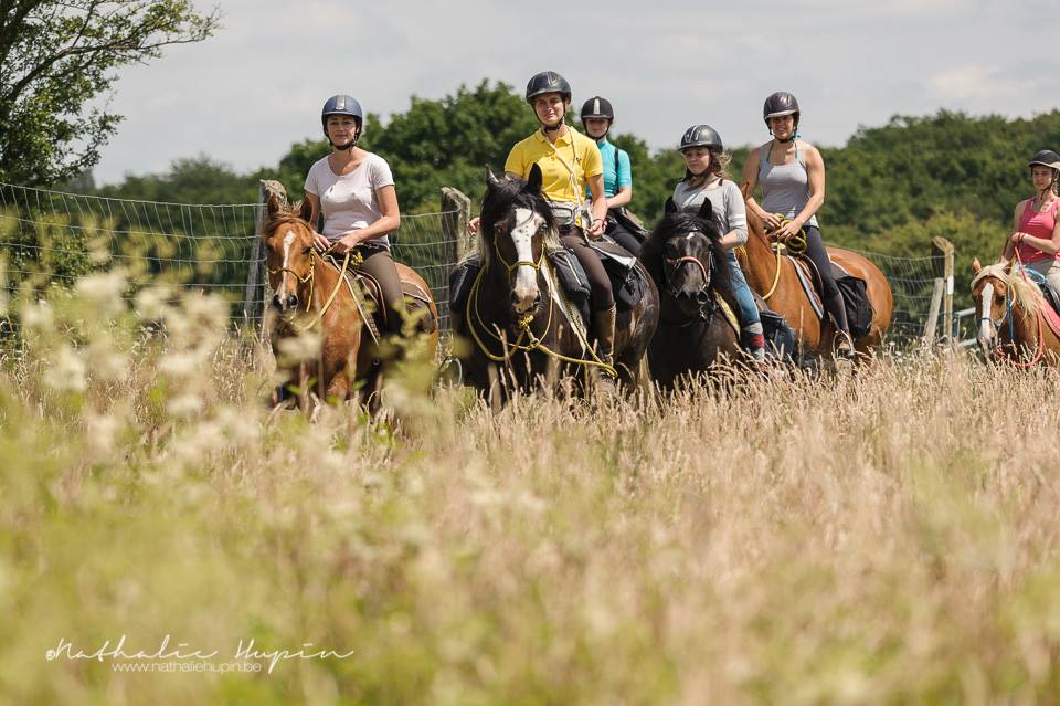 groupe de chevaux en balade