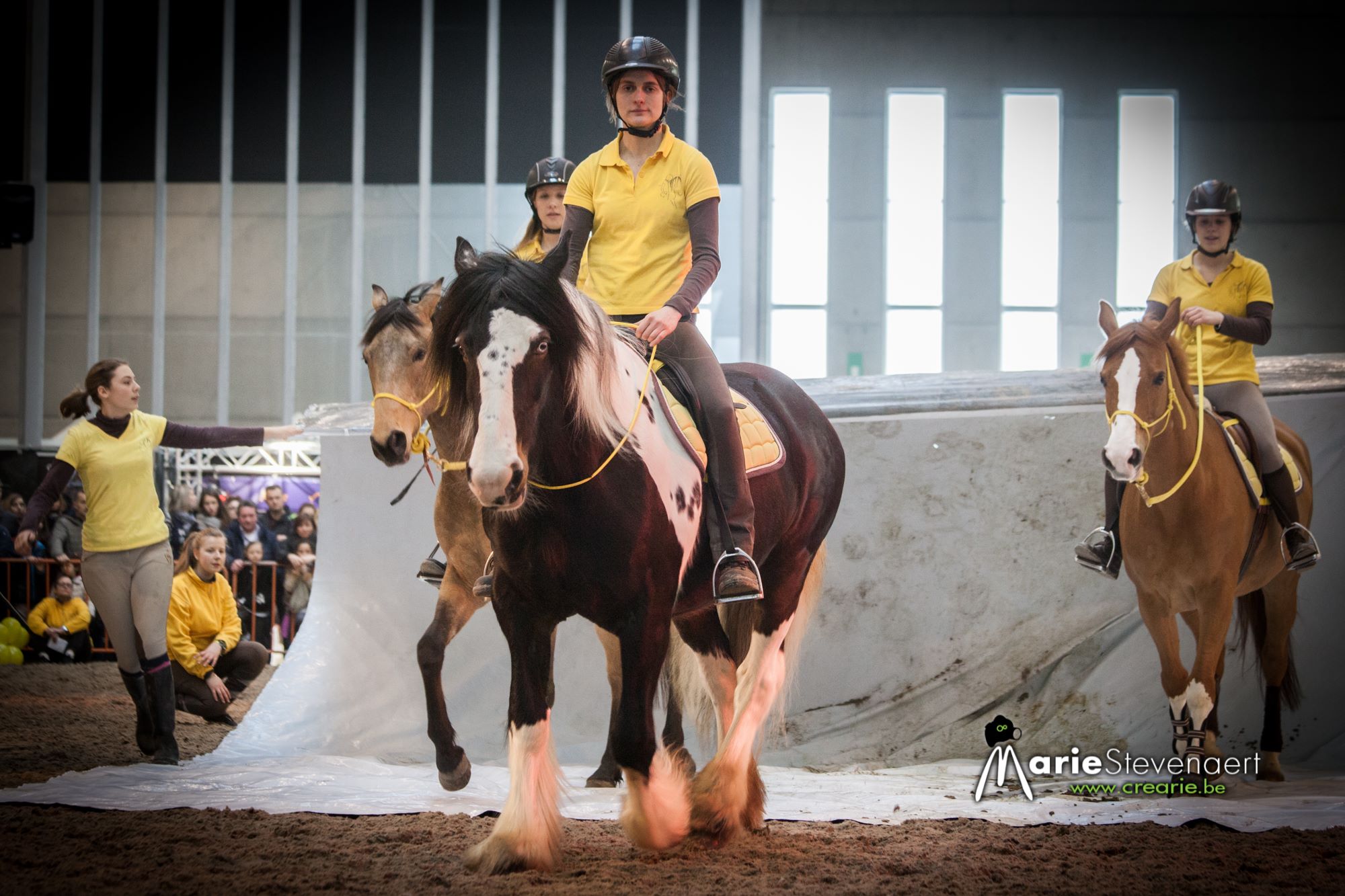 désensibilisation bâche