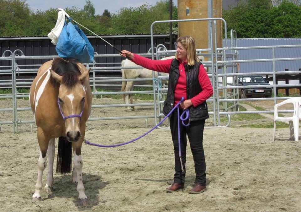 Spécial « désensibilisation »