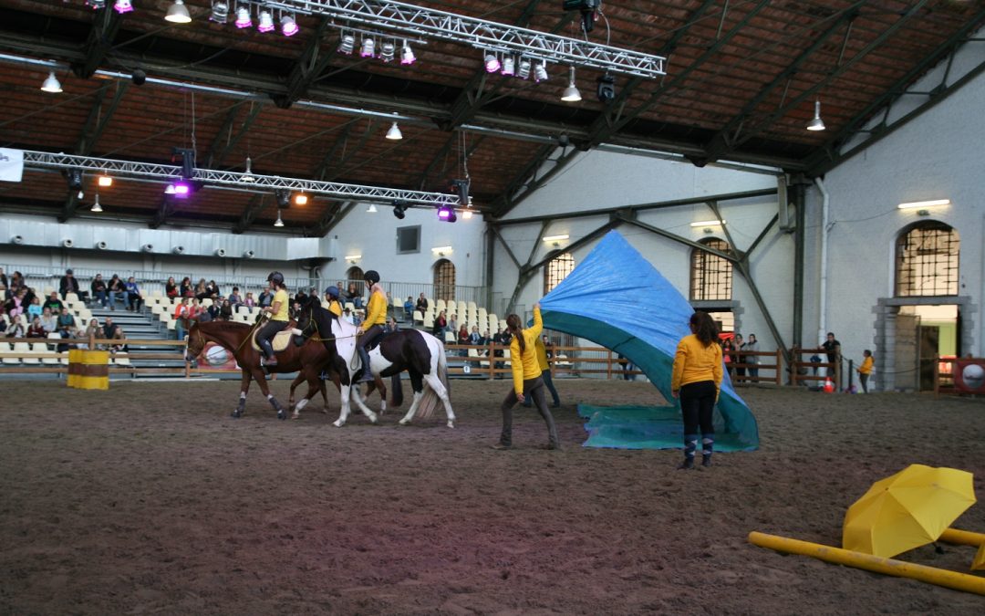 Brussels Horse Days 2016