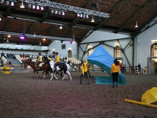 Brussels Horse Days 2016