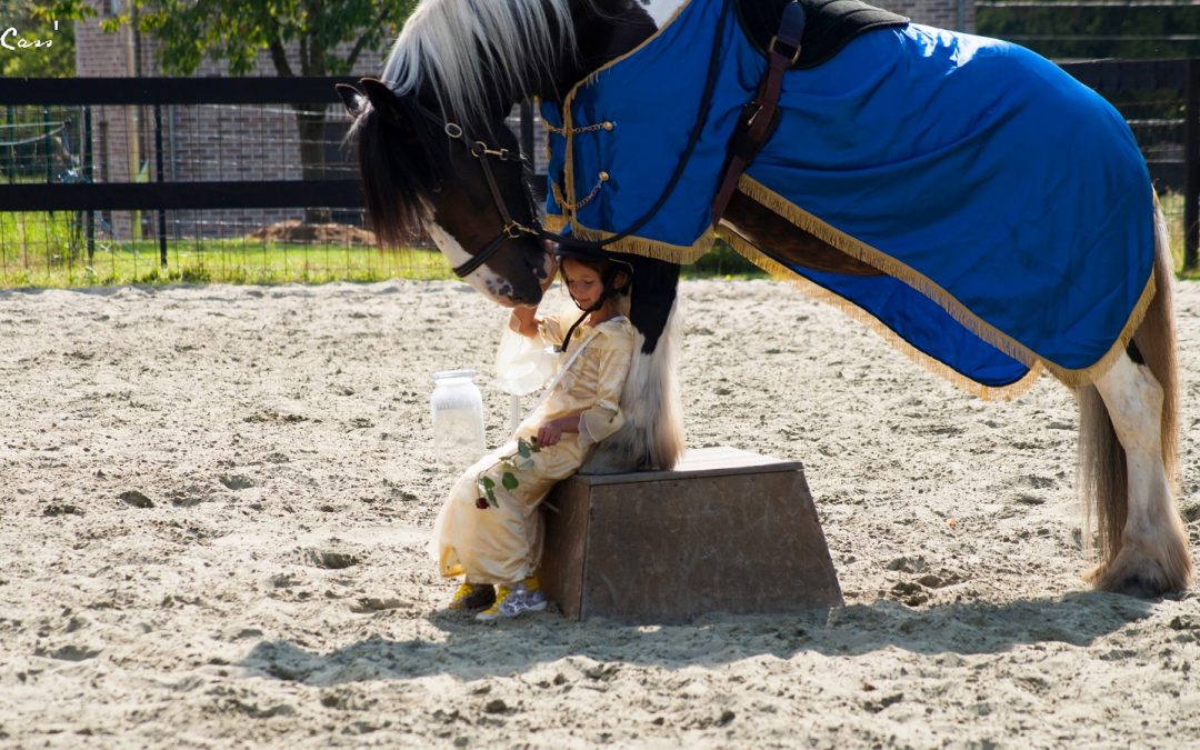Journée portes ouvertes à Thirimont