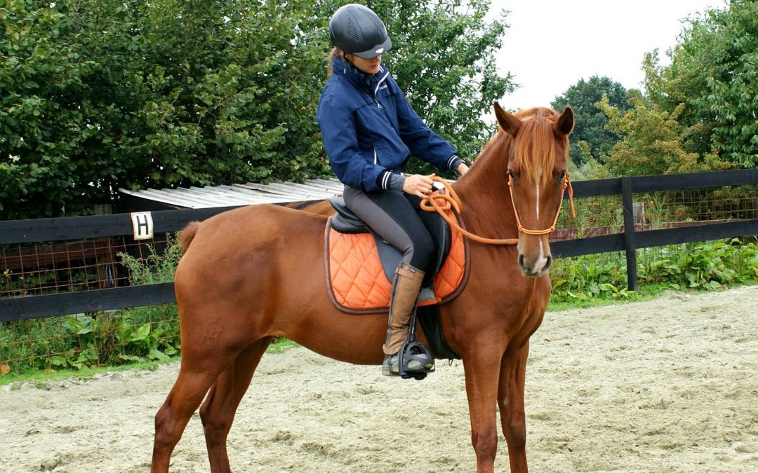 Exemple de débourrage