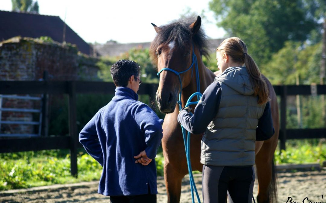 Exemple de cours particulier