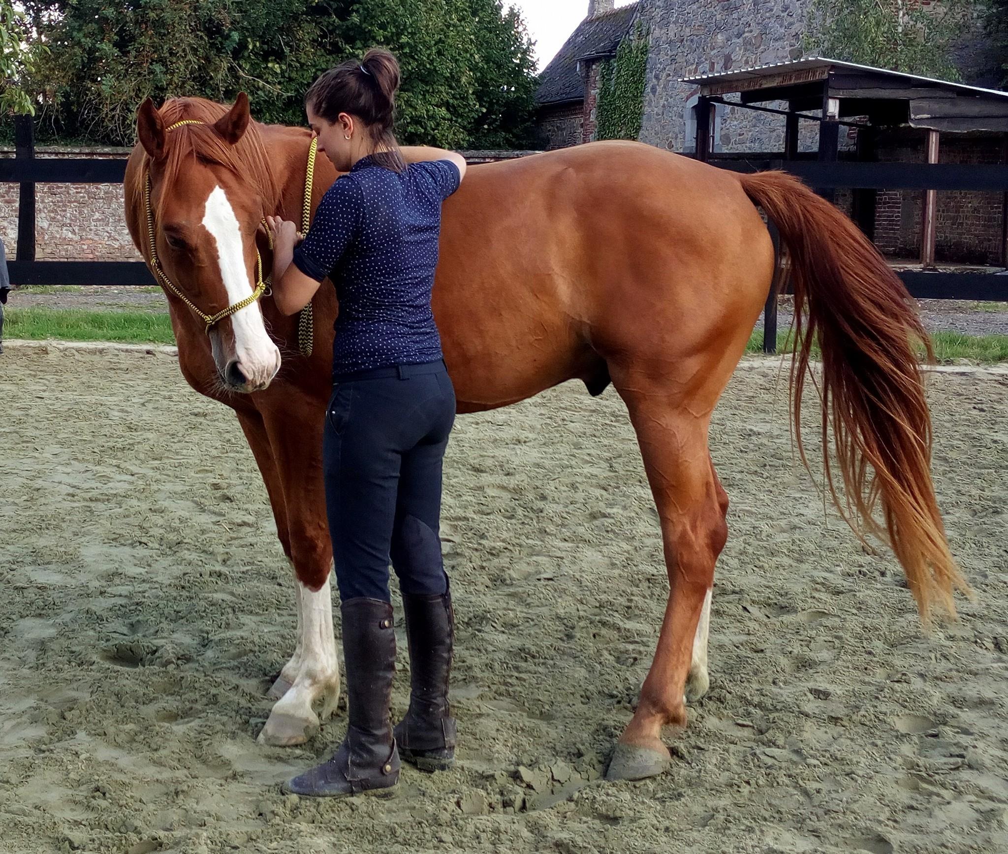 Un fille demande une flexion d'encolure à un cheval alezan.