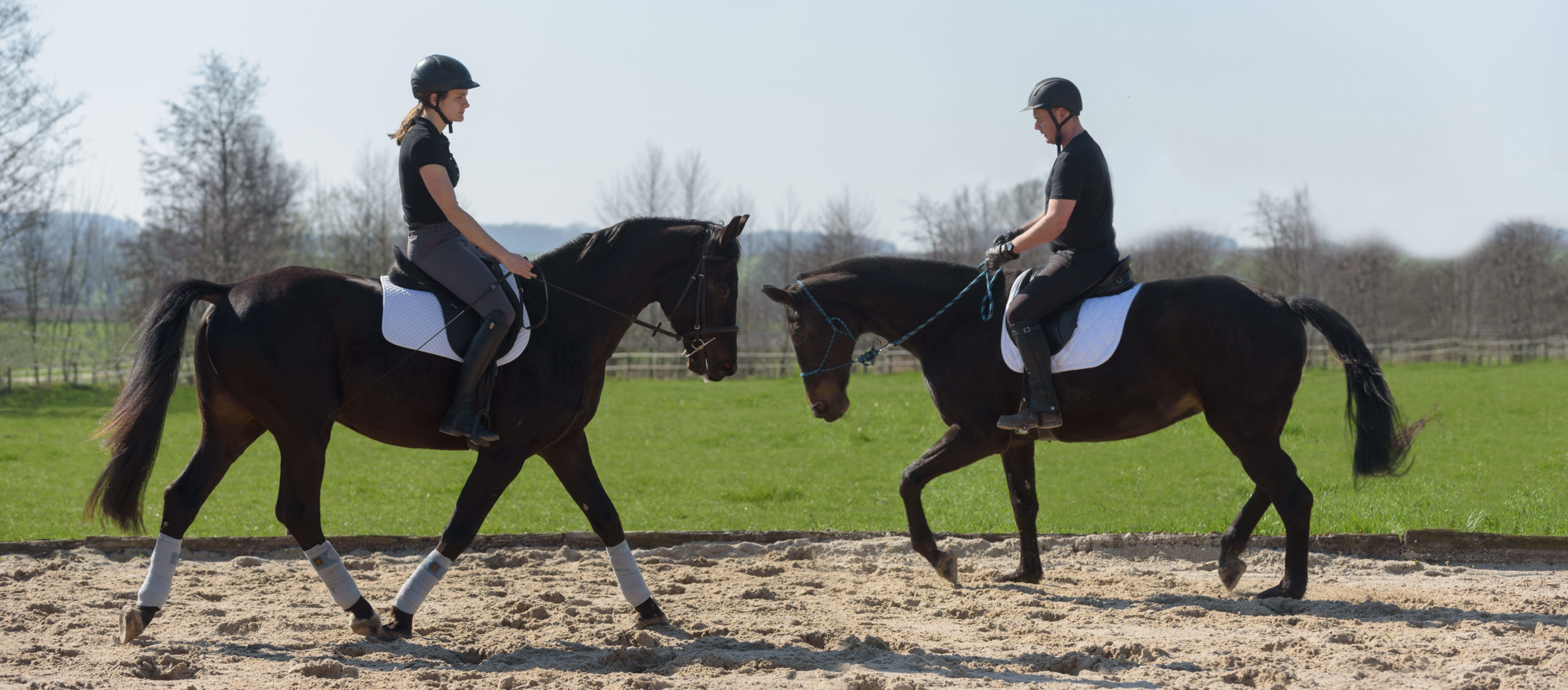 Claire et Alexandre montent à cheval