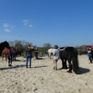 Groupe chevaux et élèves en formation à l'extérieur
