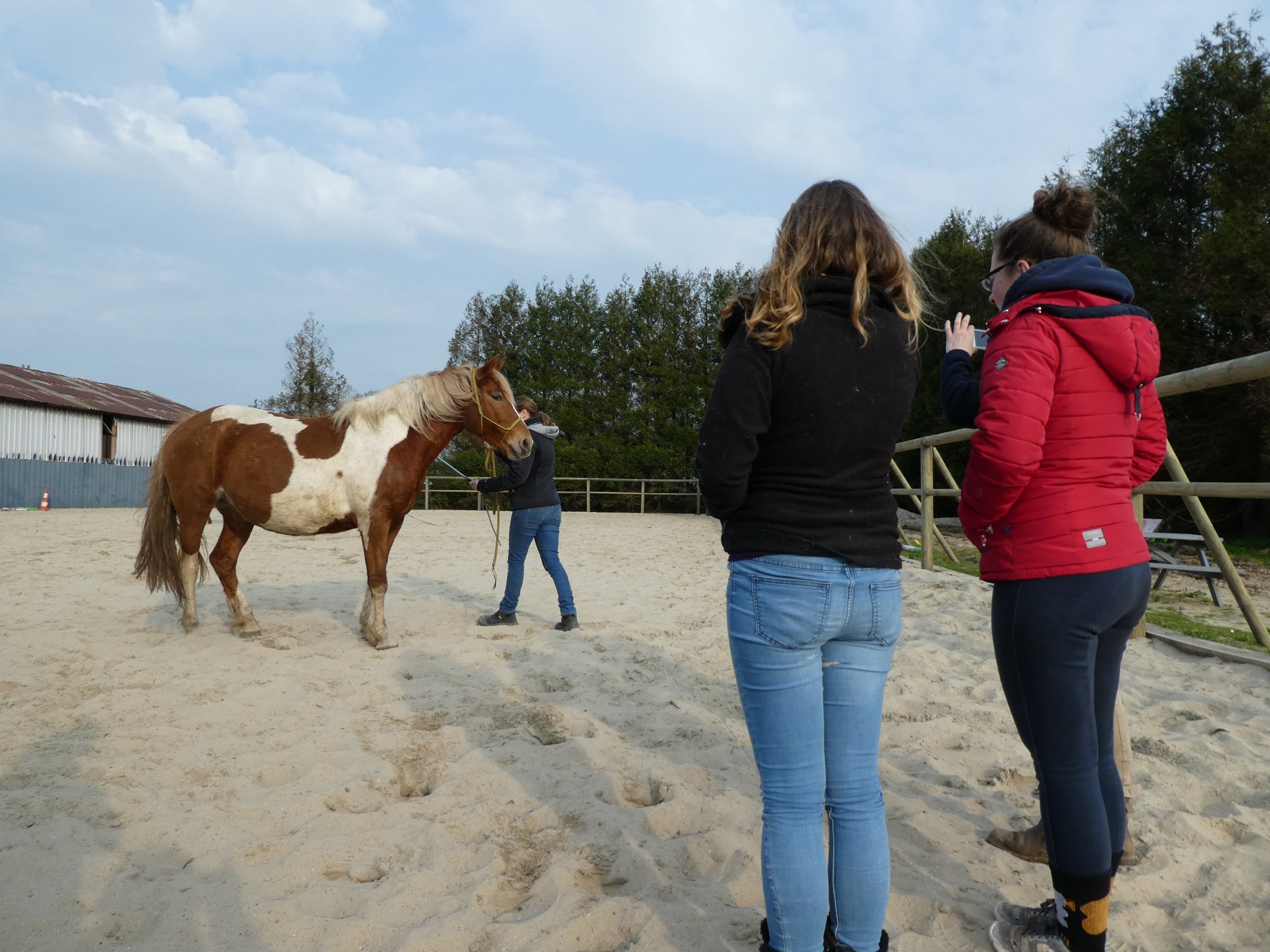 Auditeur - Suivre nos stages comme auditeur