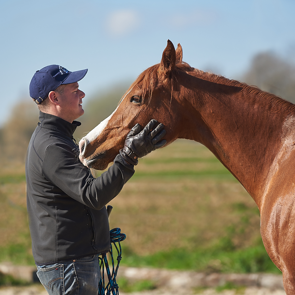 alexandre declercq équitation éthologique en belgique