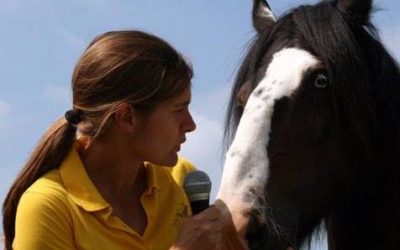 Adapter sa voix pour parler aux chevaux