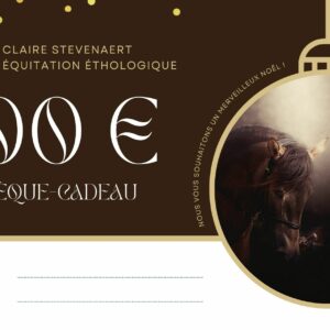 Chèque cadeau Equi-Claire d'une valeur de 100€