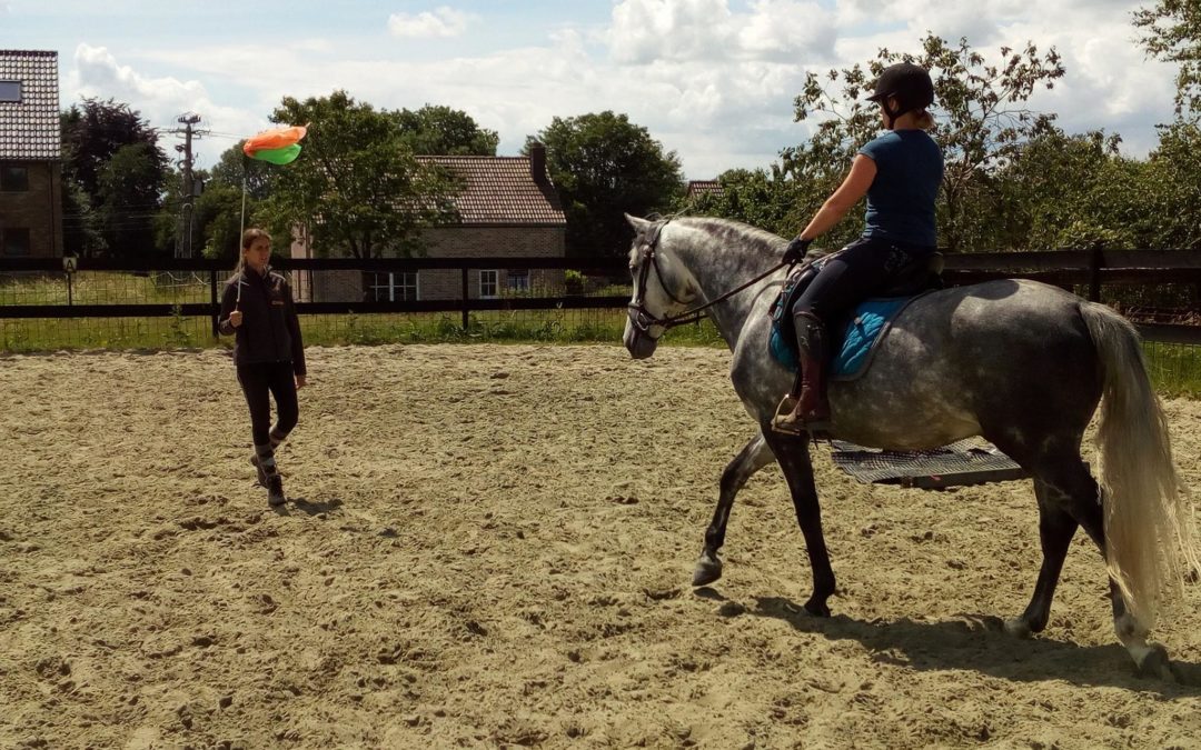 Stage spécial désensibilisation