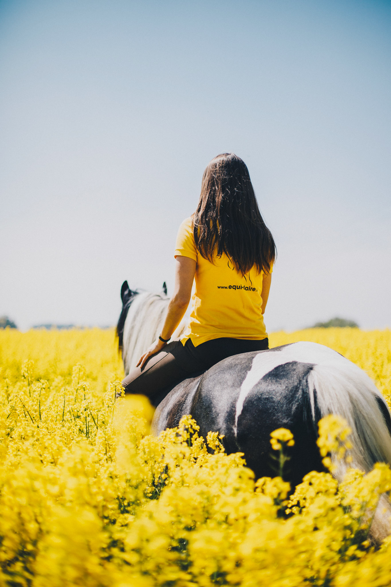 fille à cheval de dos