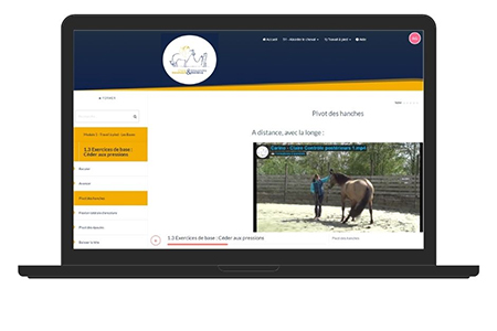 support en ligne de la formation