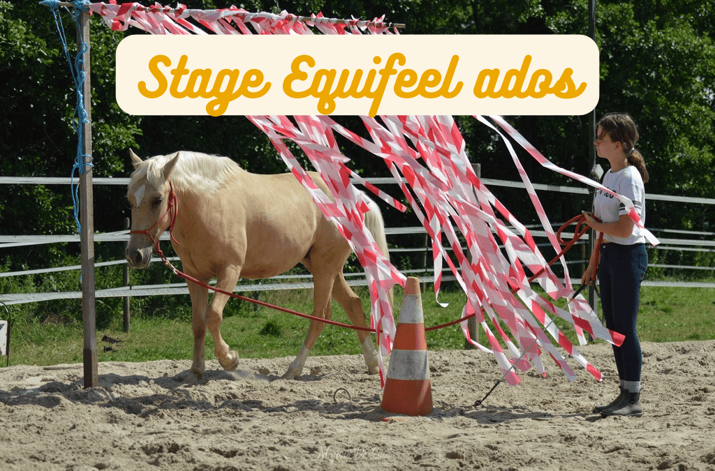 Stage Equifeel ados