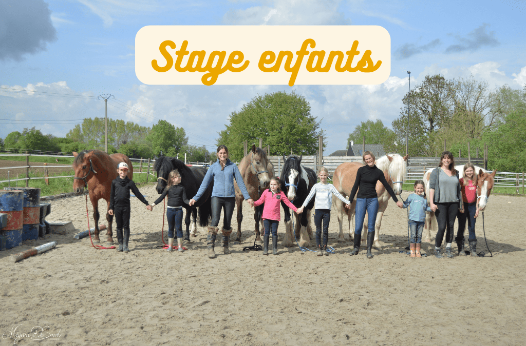 A la découverte du cheval autrement