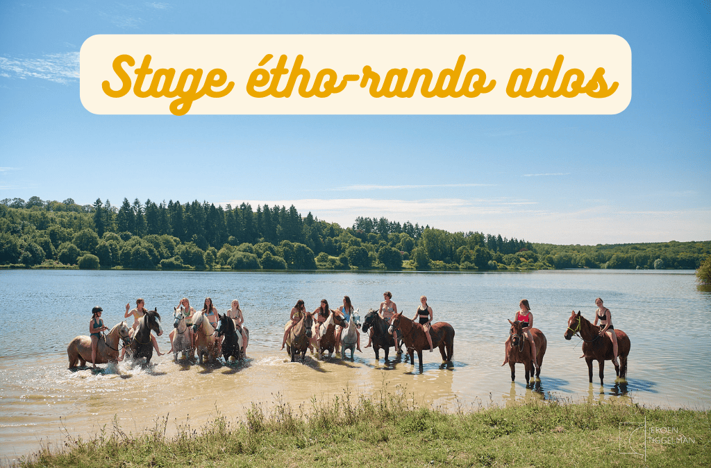 Equitation éthologique et randonnée