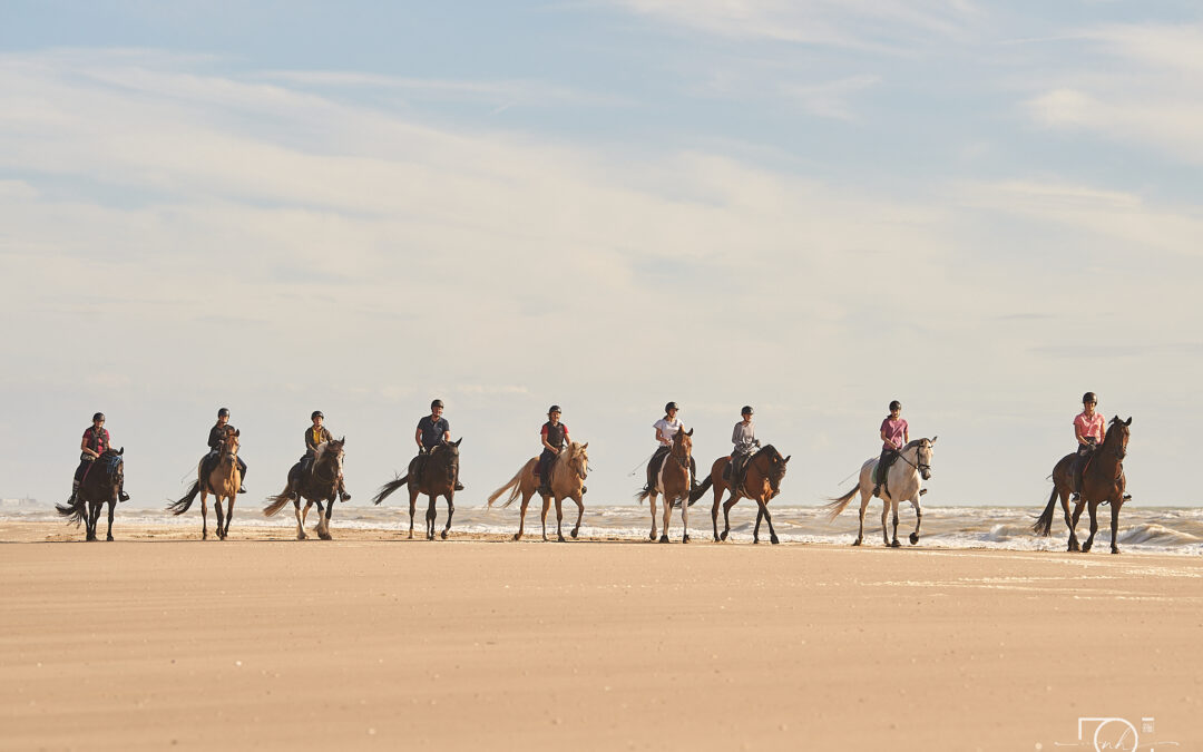 Stage étho-rando au Touquet